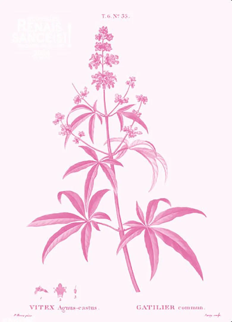 Atelier de sérigraphie : Mordre le Silence