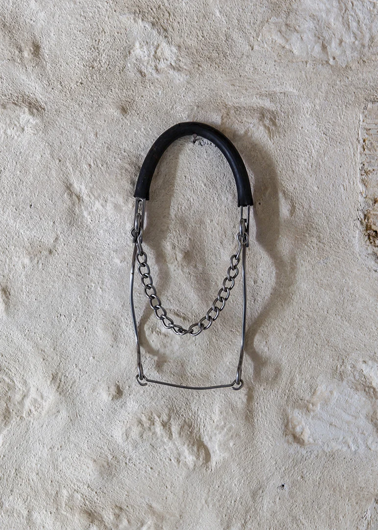 Mur de trophés et Hackamore