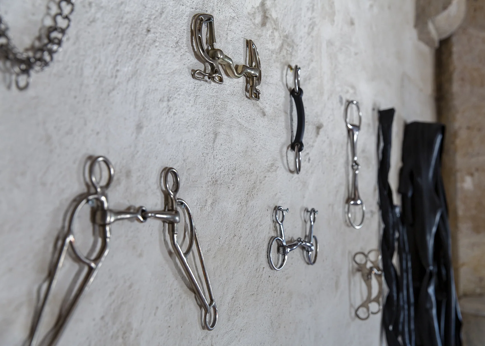 Mur de trophés et Hackamore